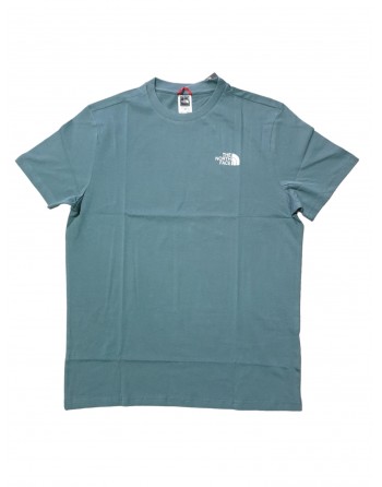 Tshirt the nort face